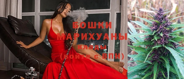 дживик Арсеньев