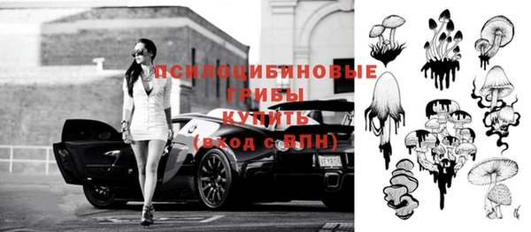 не бодяженный Аркадак