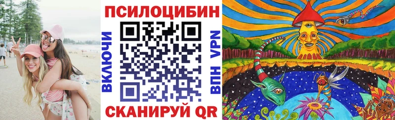 Псилоцибиновые грибы Psilocybine cubensis  Серов 